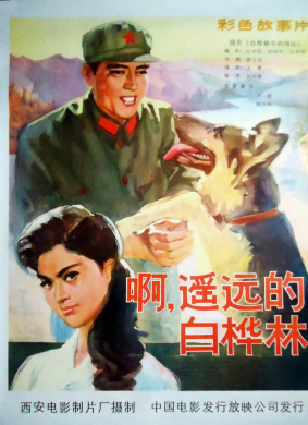 白桦林中的哨所
