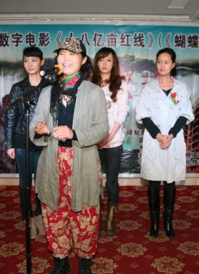 娘家人做官 电影封面