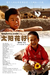 太阳花籽毛嗑