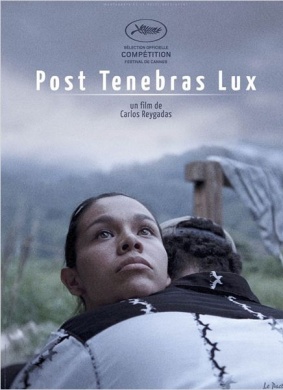 柳暗花明Post Tenebras Lux