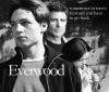 雪山镇Everwood