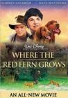 红色羊齿草的故乡Where the Red Fern Grows