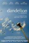 蒲公英Dandelion