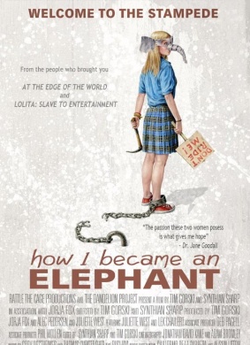 我如何成为一头大象How I Became an Elephant 电影封面
